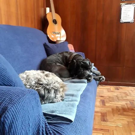 Vandrerhjem Bom - Private For Pilgrims Caminha