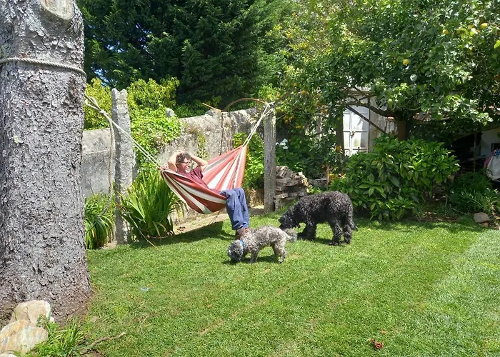 Bom - Private For Pilgrims Hostel