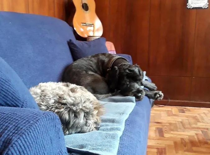 Hostel Bom - Private For Pilgrims Caminha